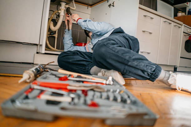 Best Commercial Plumbing Services  in Rotonda, FL